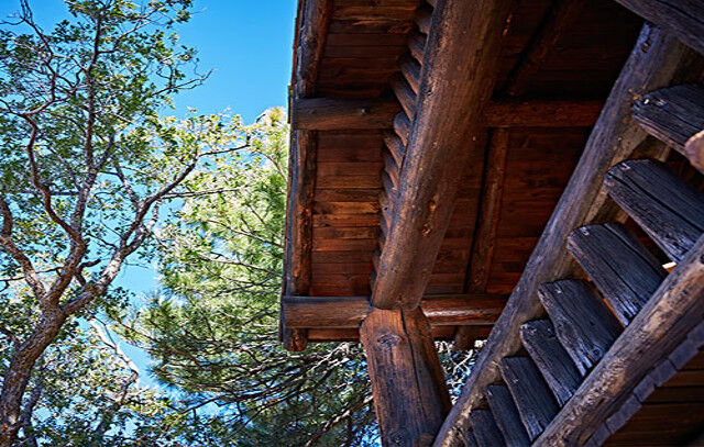 Grand Canyon Lodge North Rim Eksteriør billede